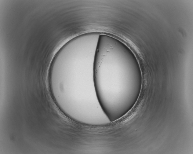 X0000111920885200907271007