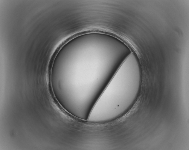 X0000111920888200907271007