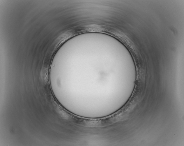 X0000111920889200907271007