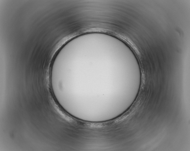 X0000111920890200907271007