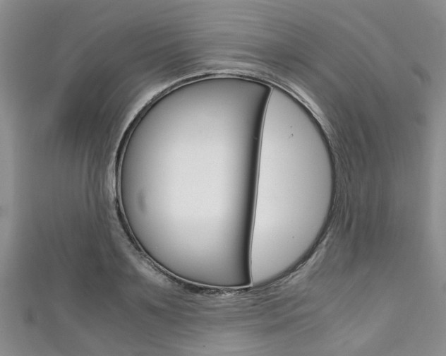 X0000111920891200907271007