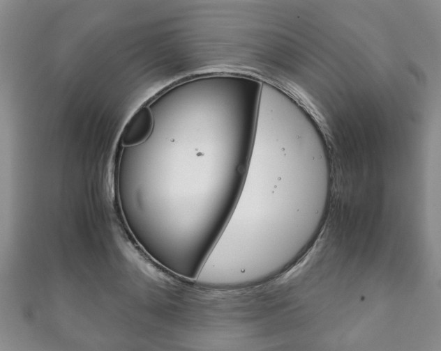 X0000111920892200907271007