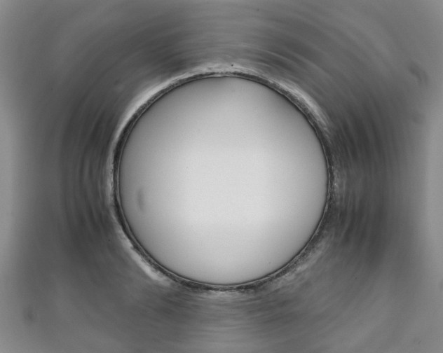 X0000111920894200907271007