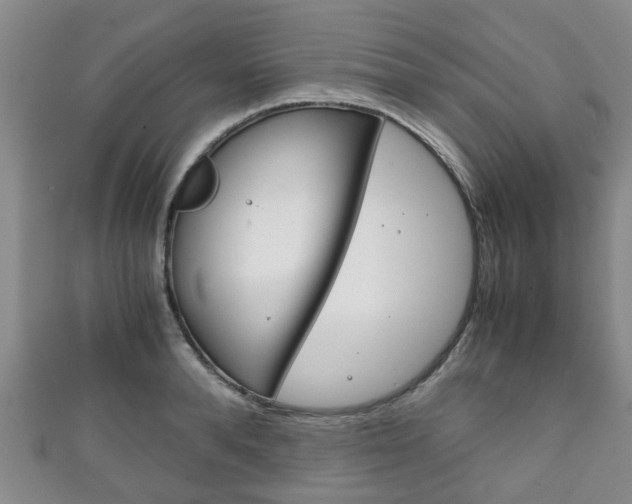 X0000111920896200907271007