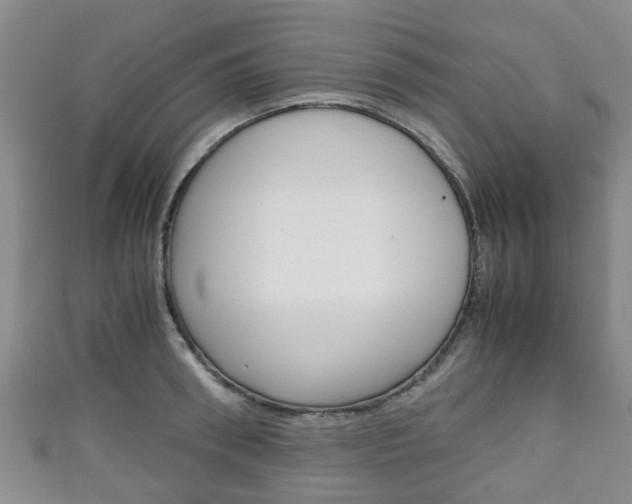 X0000111920898200907271007
