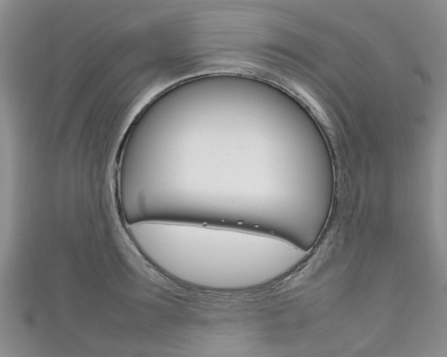 X0000111920899200907271007