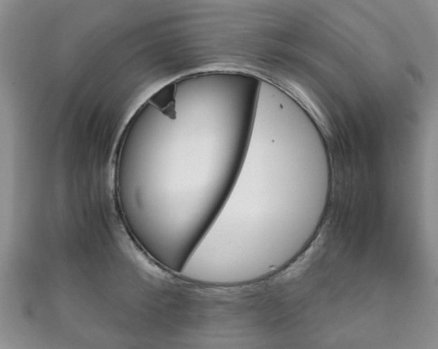 X0000111920900200907271007