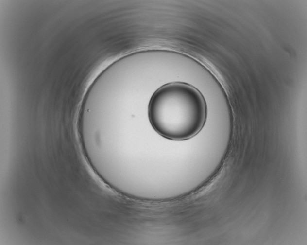 X0000111920901200907271007