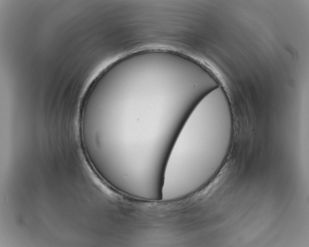 X0000111920902200907271007