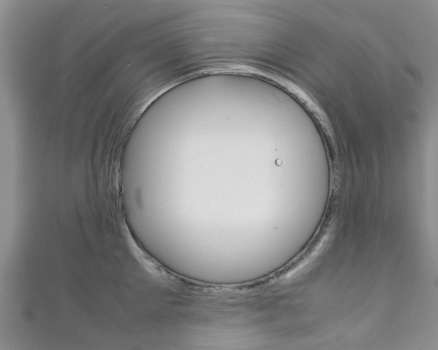 X0000111920905200907271007