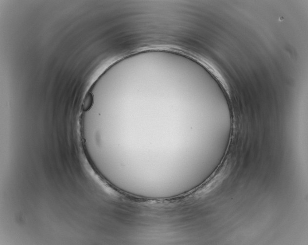 X0000111920906200907271007