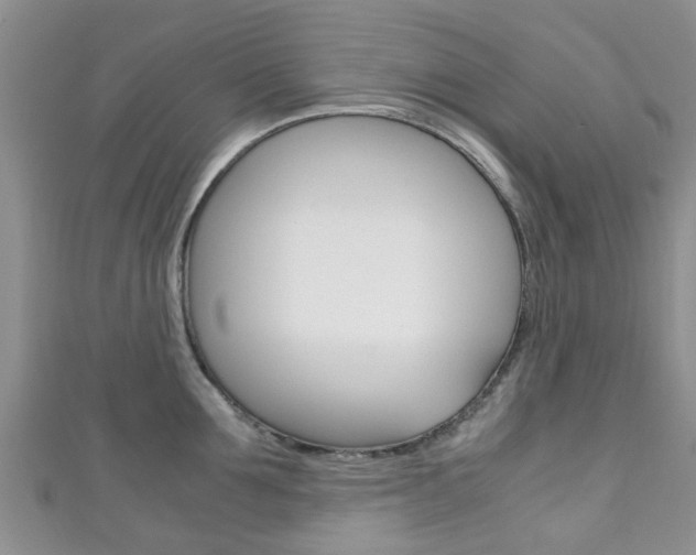 X0000111920907200907271007