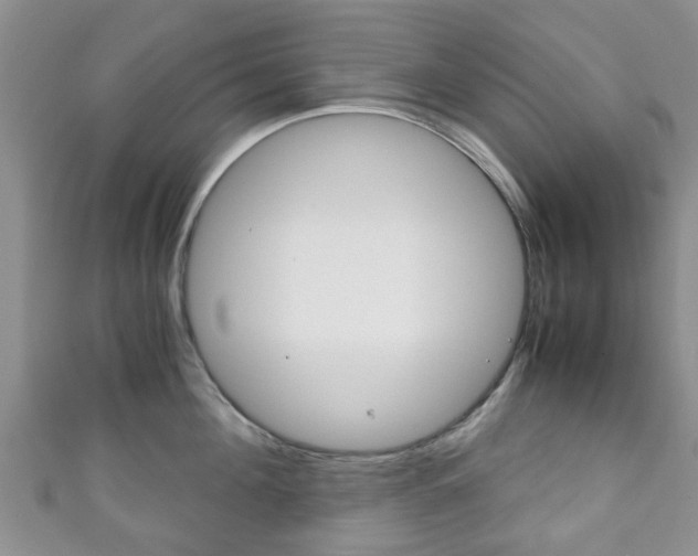 X0000111920908200907271007