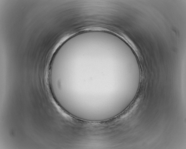 X0000111920909200907271007