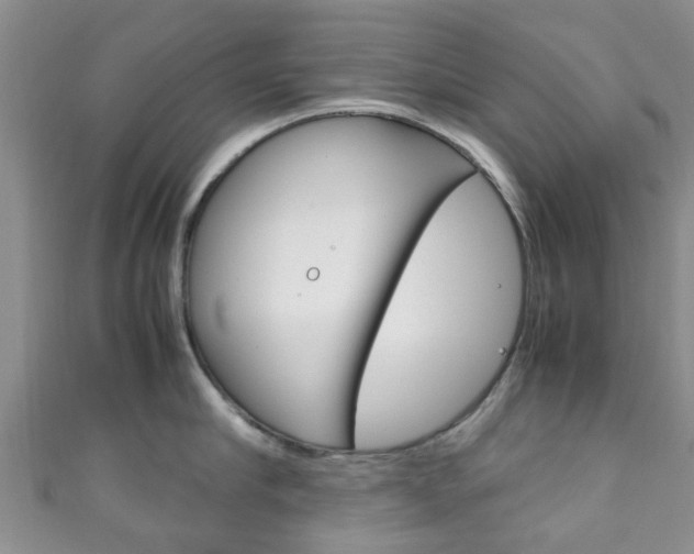 X0000111920910200907271007