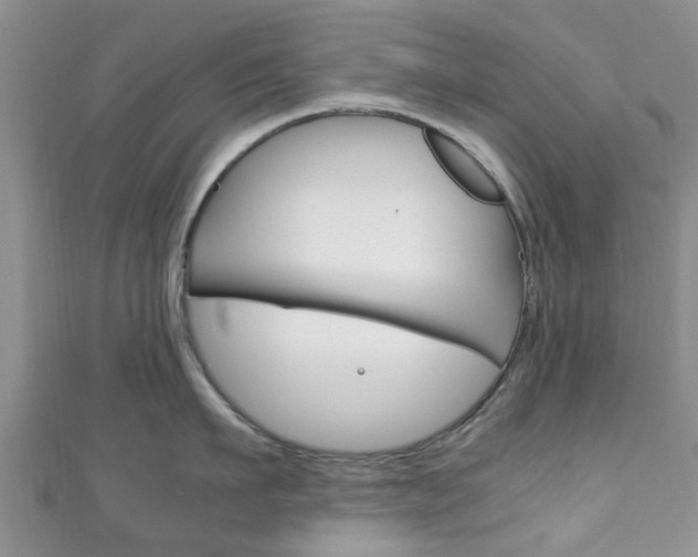 X0000111920911200907271006