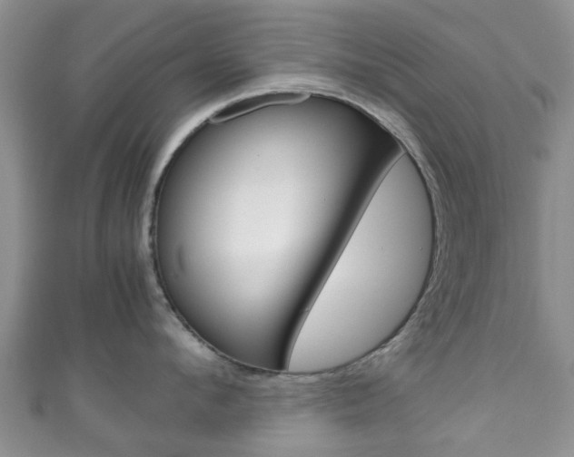 X0000111920912200907271006