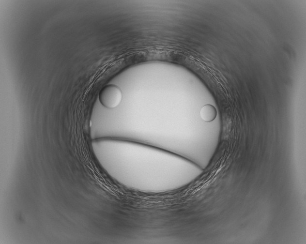 X0000111920913200907271006