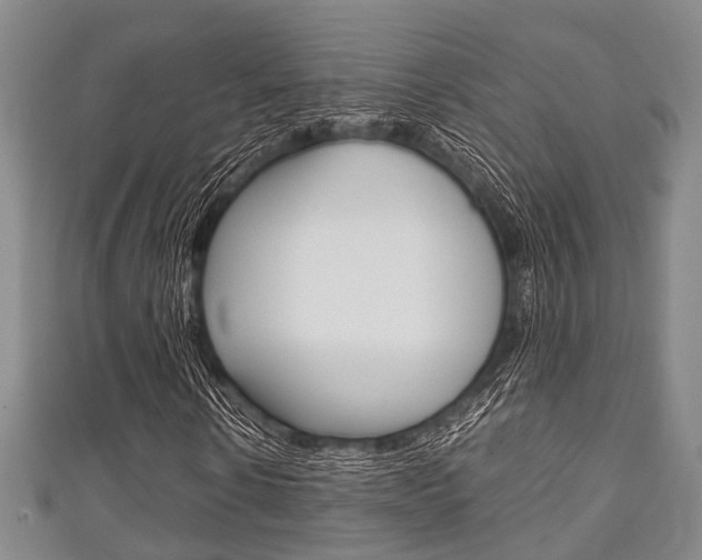 X0000111920914200907271006