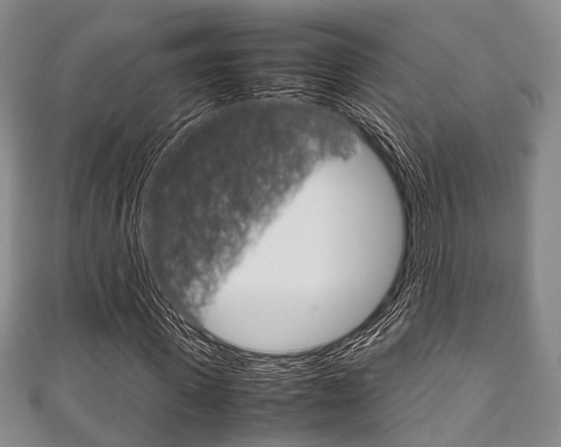 X0000111920915200907271006