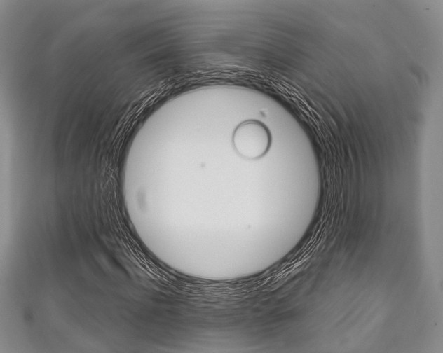 X0000111920916200907271006