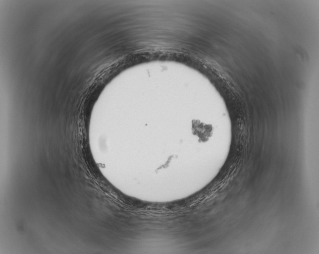 X0000111920918200907271006