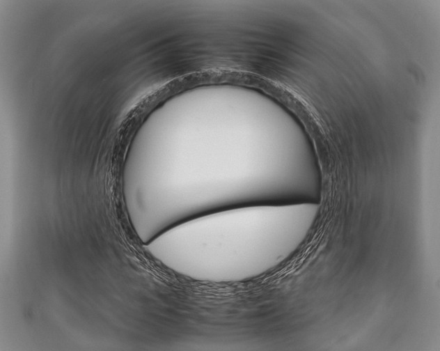 X0000111920919200907271006