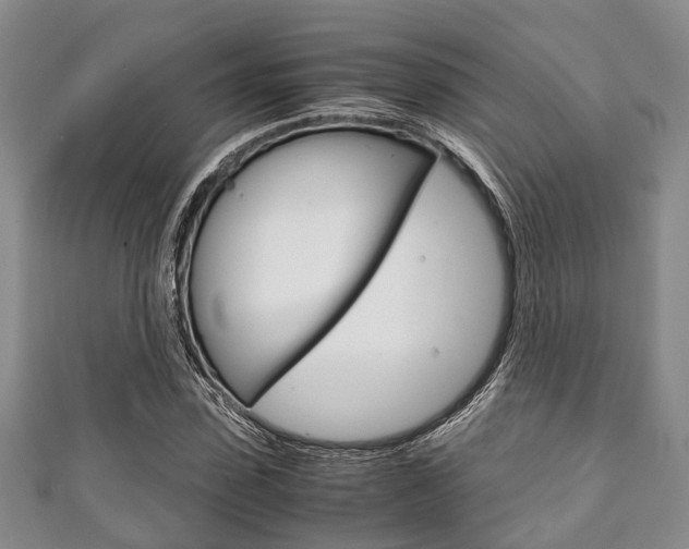 X0000111920923200907271006