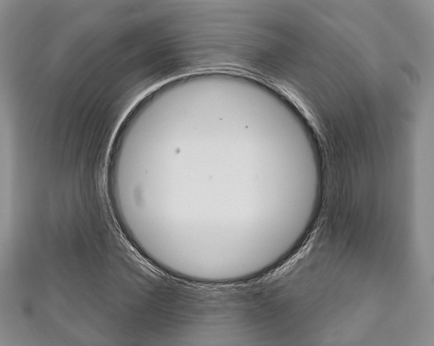 X0000111920924200907271006