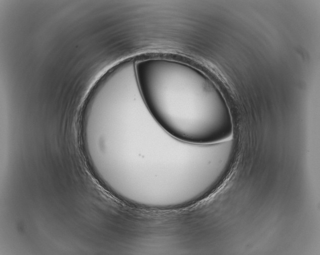 X0000111920926200907271006