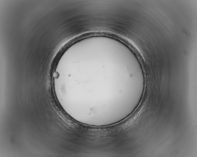 X0000111920927200907271006