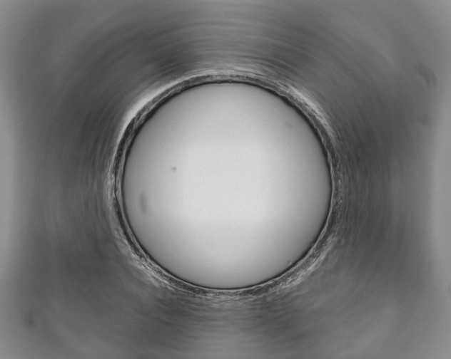 X0000111920928200907271006