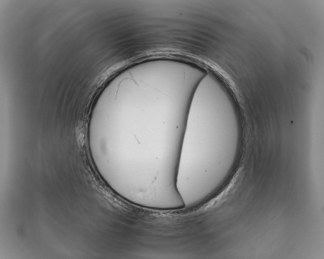 X0000111920929200907271006