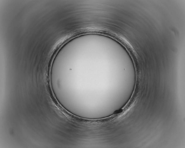 X0000111920930200907271006