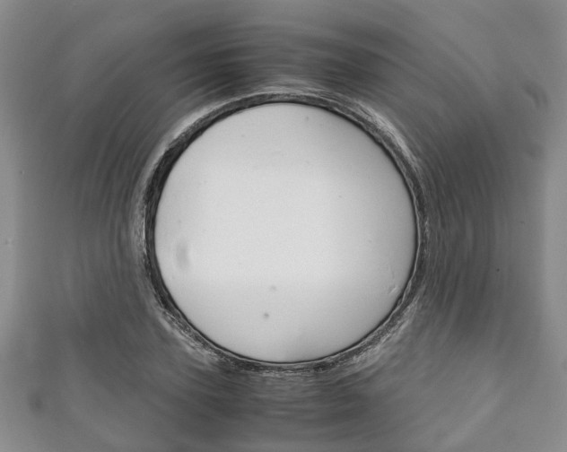 X0000111920931200907271006