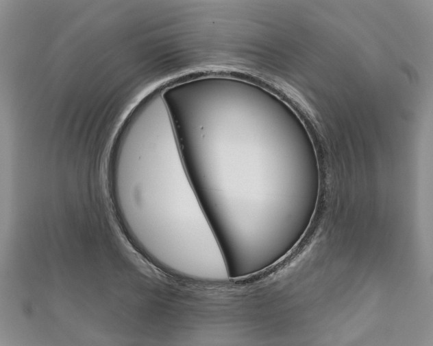 X0000111920934200907271006