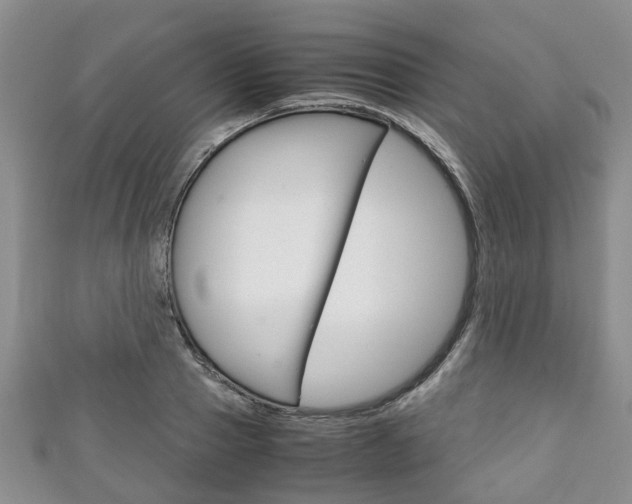 X0000111920937200907271006