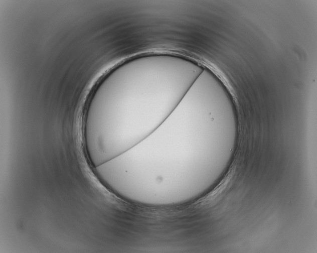 X0000111920939200907271006