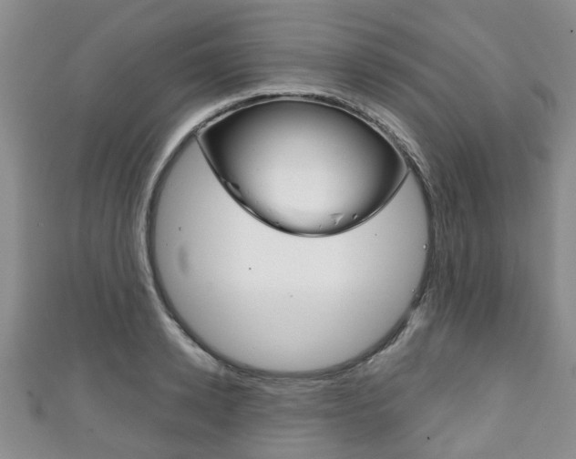X0000111920942200907271006