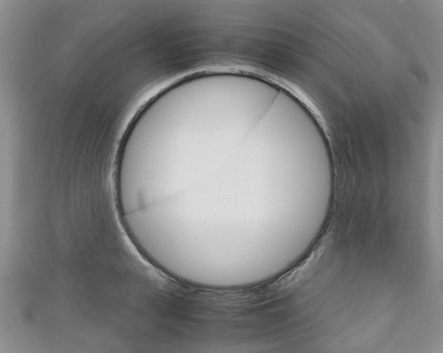 X0000111920943200907271006