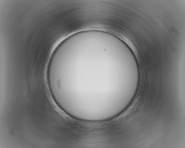 X0000111920944200907271006