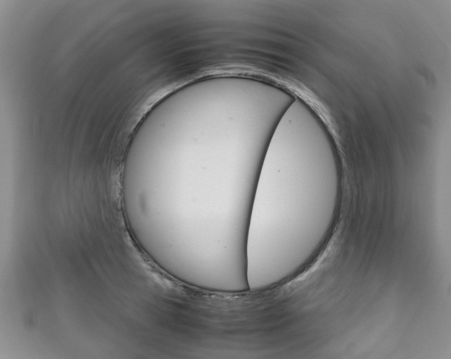 X0000111920945200907271006