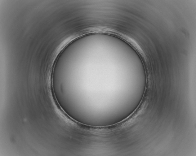 X0000111920946200907271006