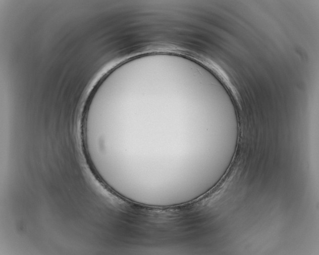 X0000111920947200907271006