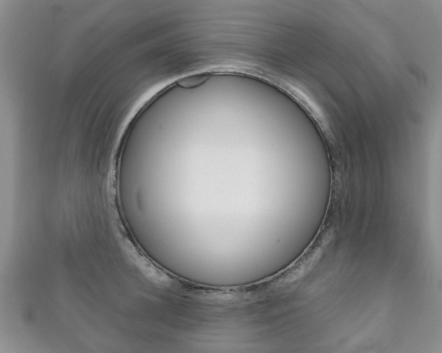 X0000111920948200907271006