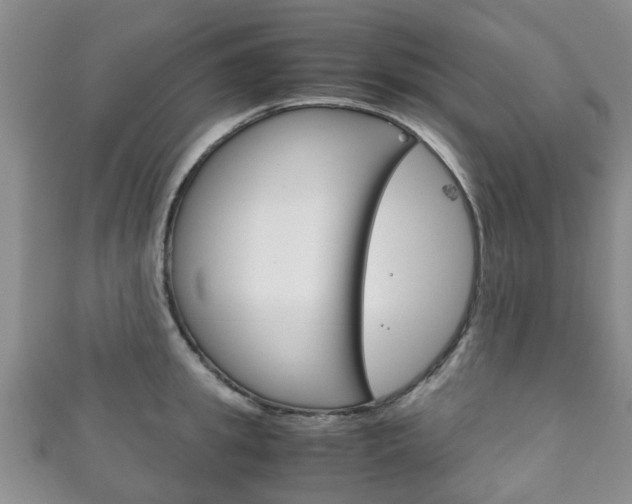 X0000111920949200907271006