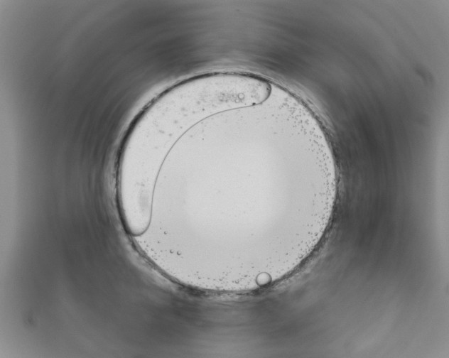 X0000111920950200907271006