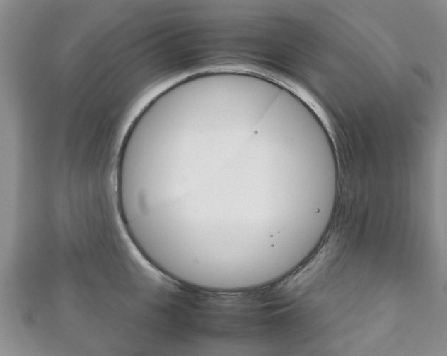 X0000111920951200907271006