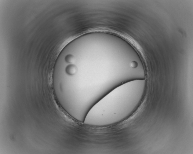 X0000111920953200907271006