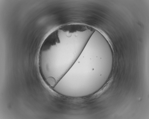 X0000111920957200907271006